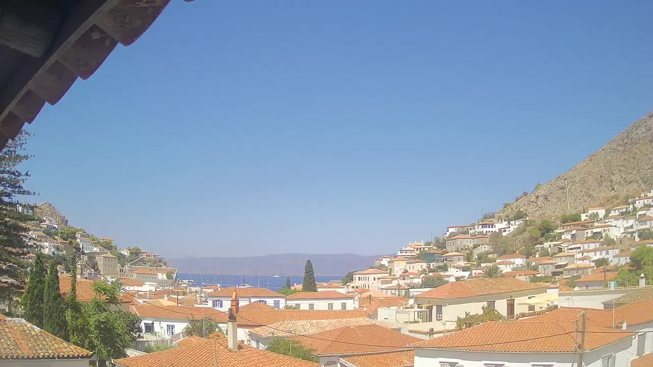 Webcam Hydra: View over Hydra