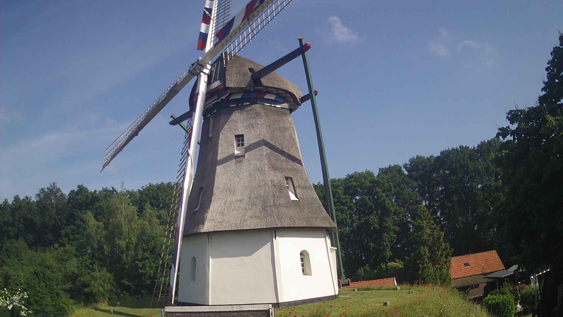 Milheeze