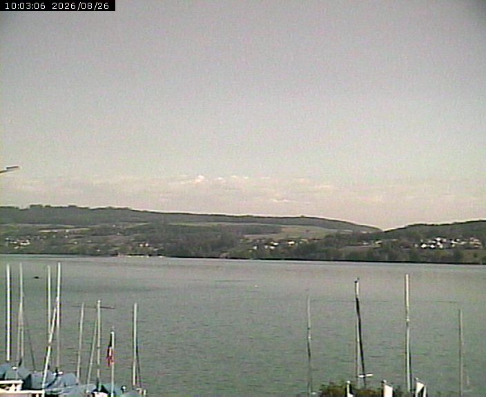 Webcam Beinwil am See: Lake Hallwil
