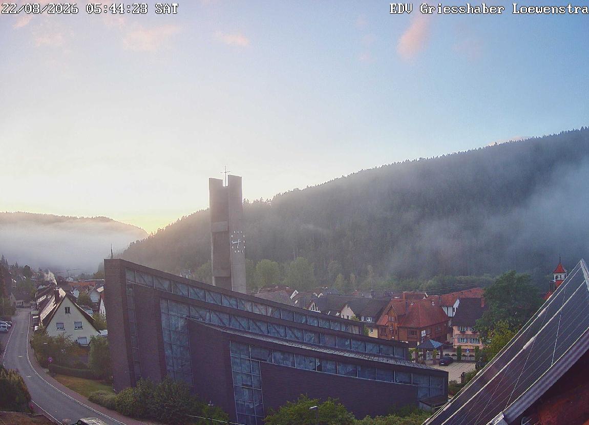 Webcam Tennenbronn: View over Tennenbronn