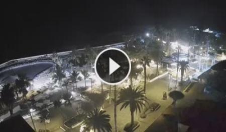 Webcam Puerto de la Cruz (Tenerife): Lago Marti