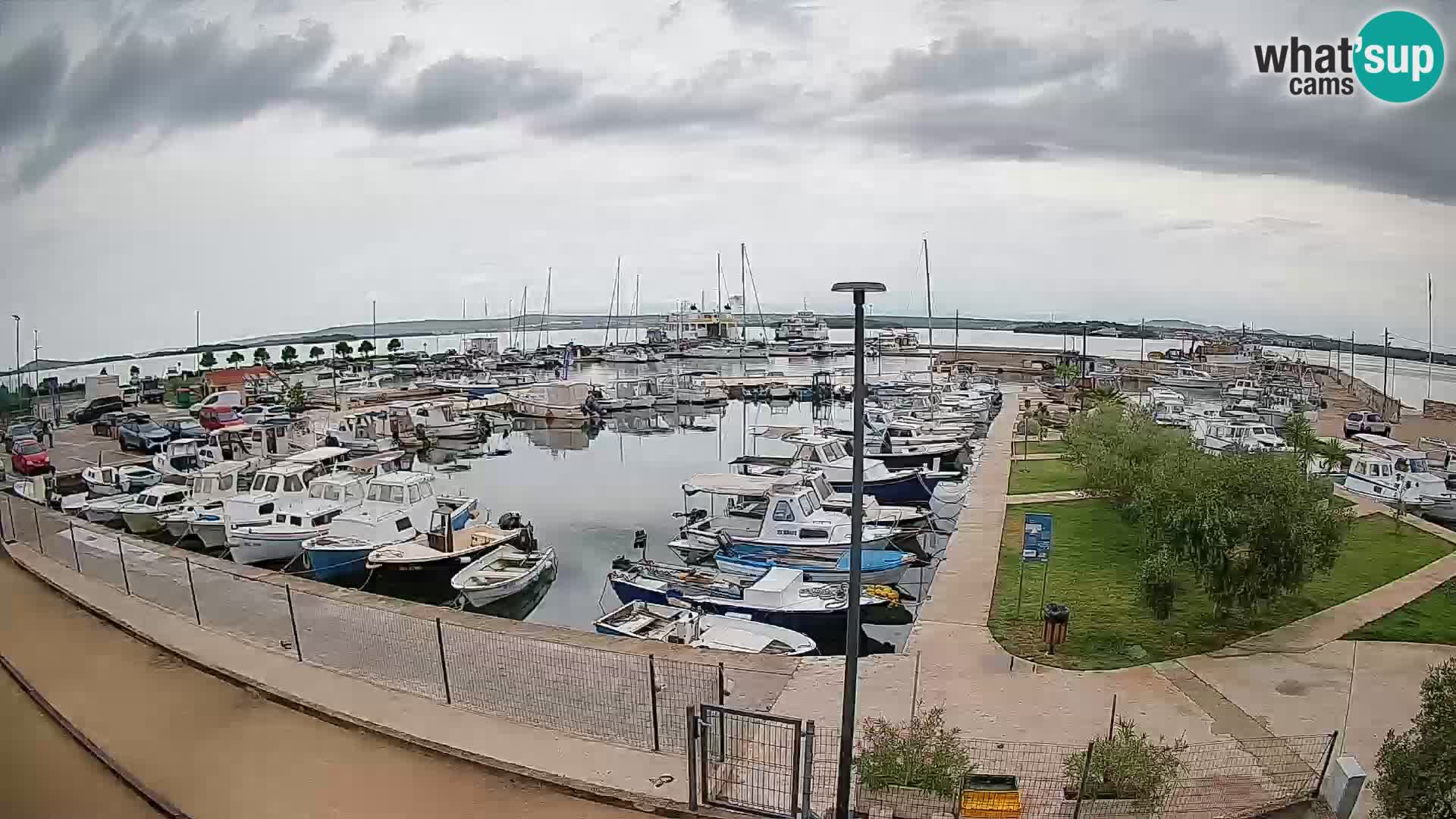 Webcam Tkon (Pašman): HD Stream Marina