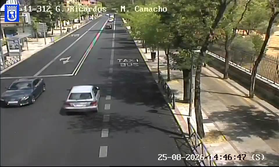 Carabanchel: GENERAL RICARDOS - MARCELINO CAMACHO