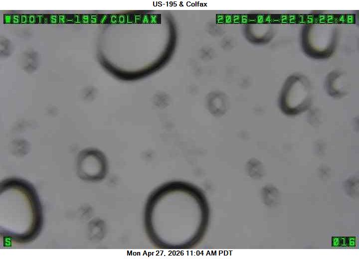 Webcam Colfax, Washington: US 195 - Colfax
