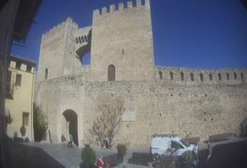Morella