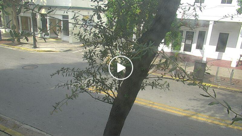 Webcam Key West, Florida: Duval Street Cam