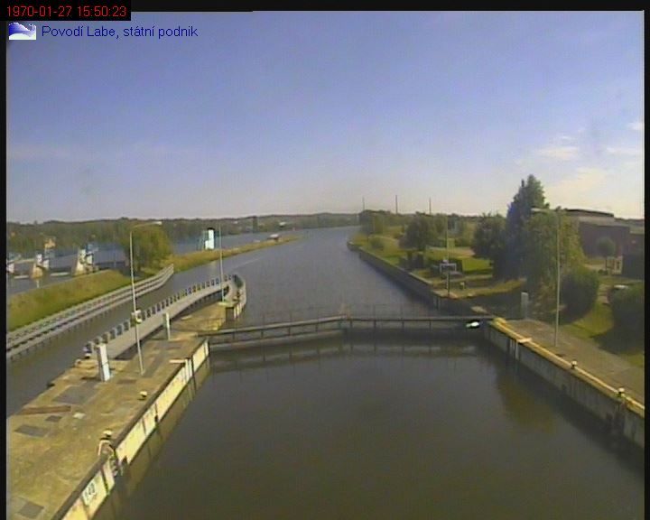 Racice: Stětí