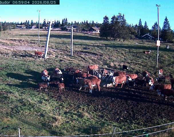 Elverum › North