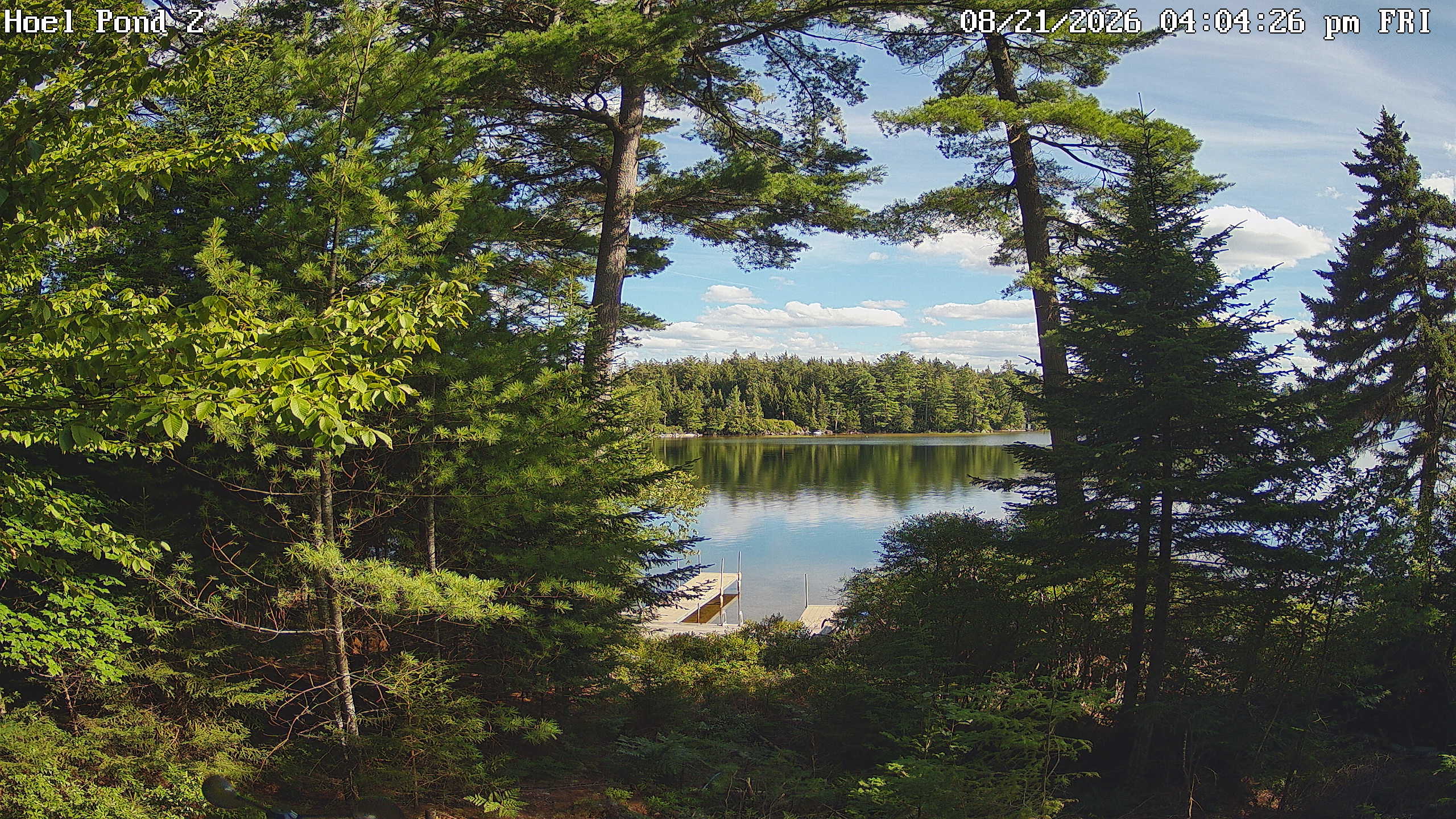 Webcam Hoel Pond, New York: Hoel Pond Cam