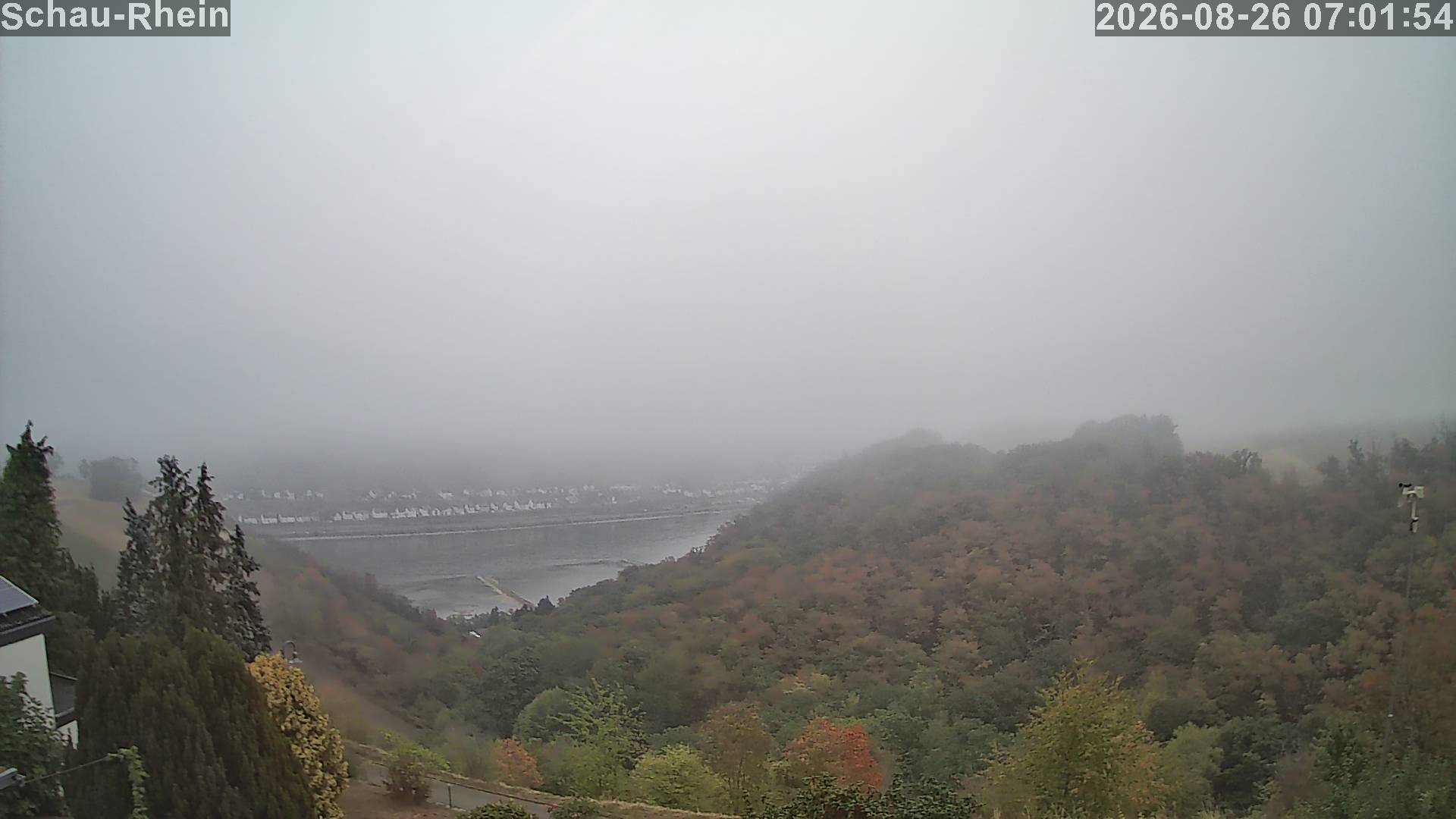 Webcam Medenscheid: Ferienwohnung Schau-Rhein