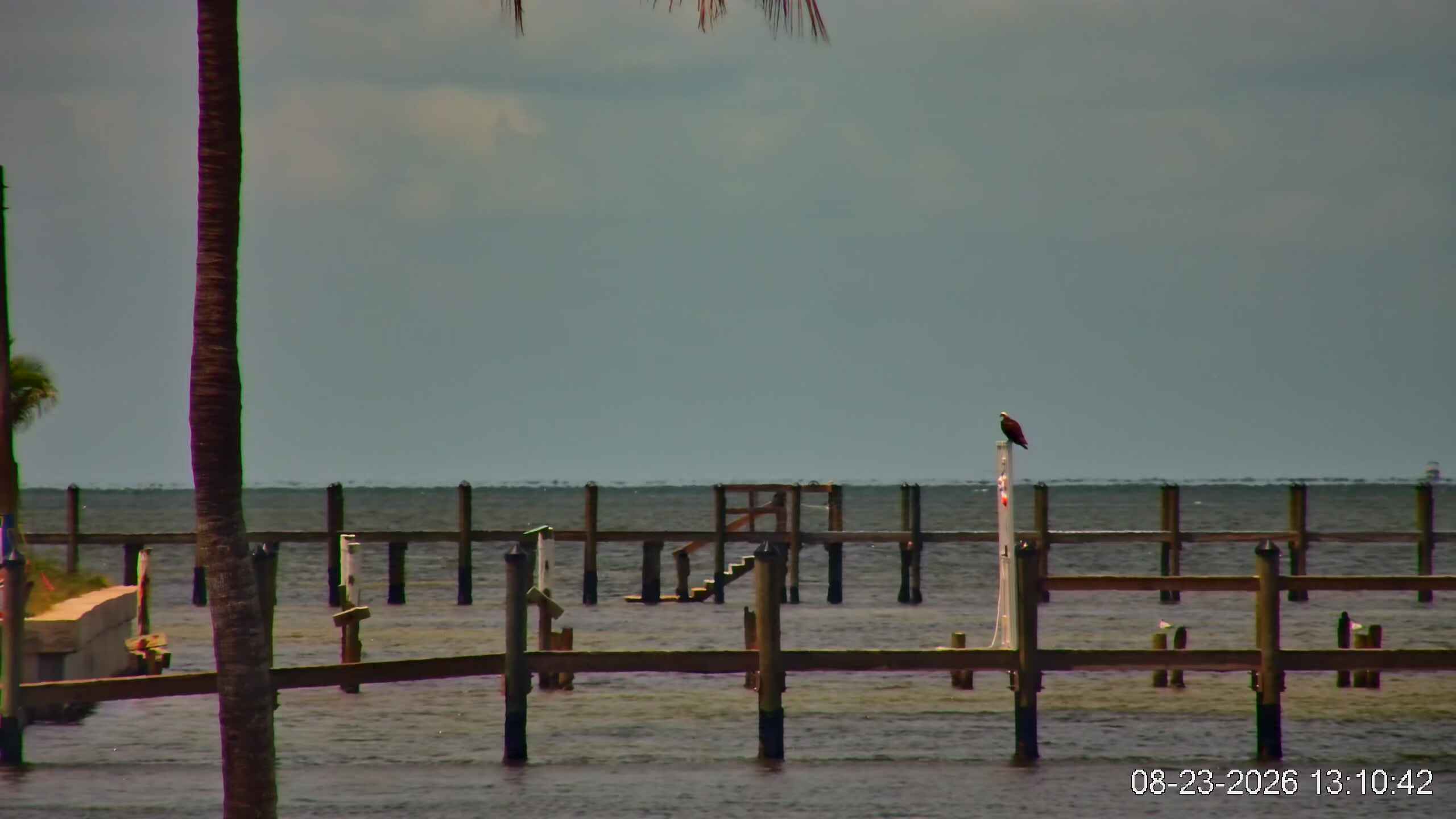 Bokeelia, Florida - Webcam Galore