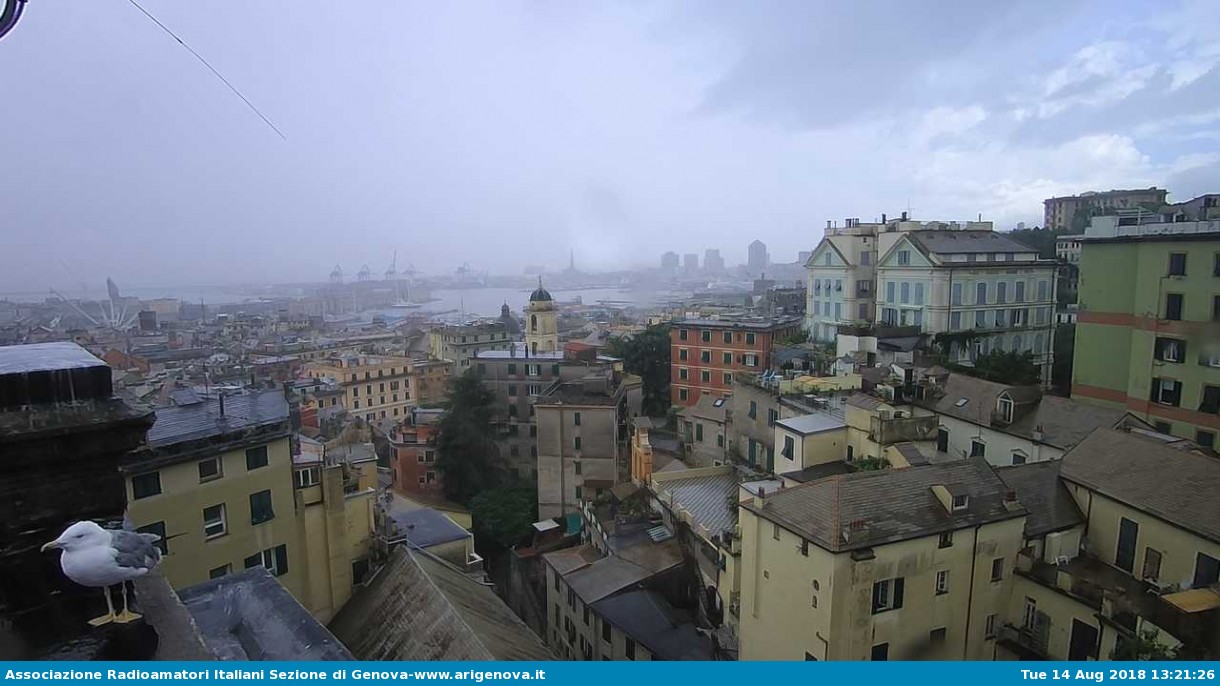 Webcam Genova: ArigenovaMeteoWebcam