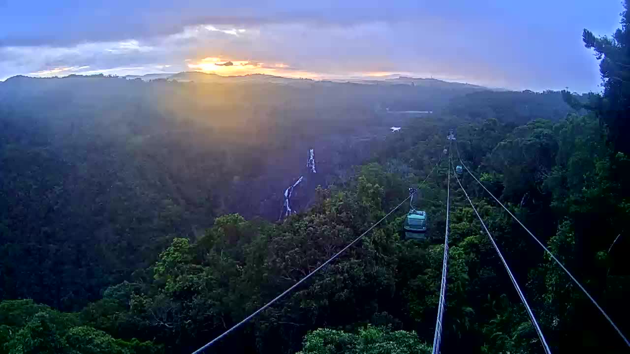Webcam Kuranda: Skyrail Rainforest Cableway