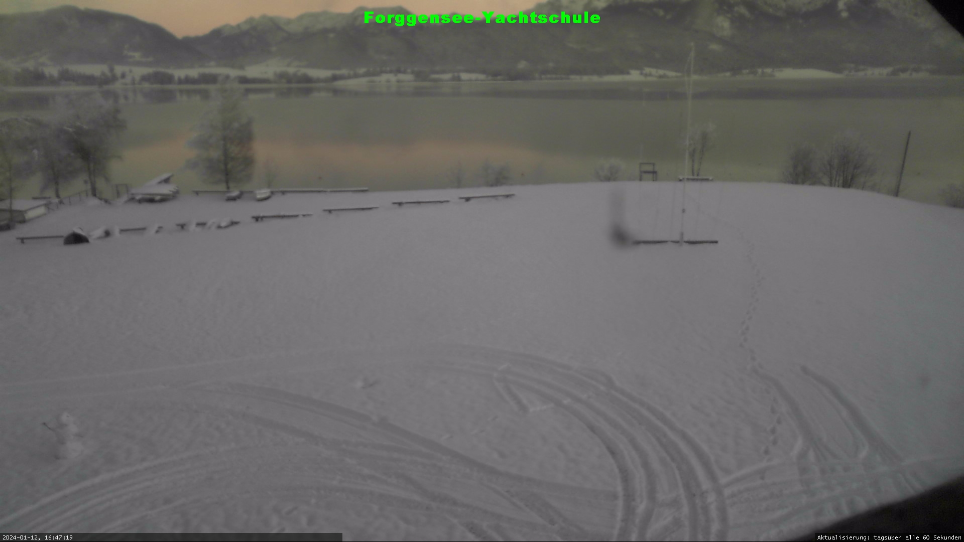 Webcam Dietringen: Forggensee Lake View