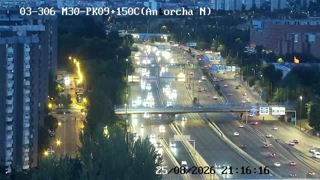 Adelfas: ANTORCHA NORTE