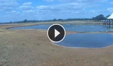 Webcam Voi: Tsavo East National Park
