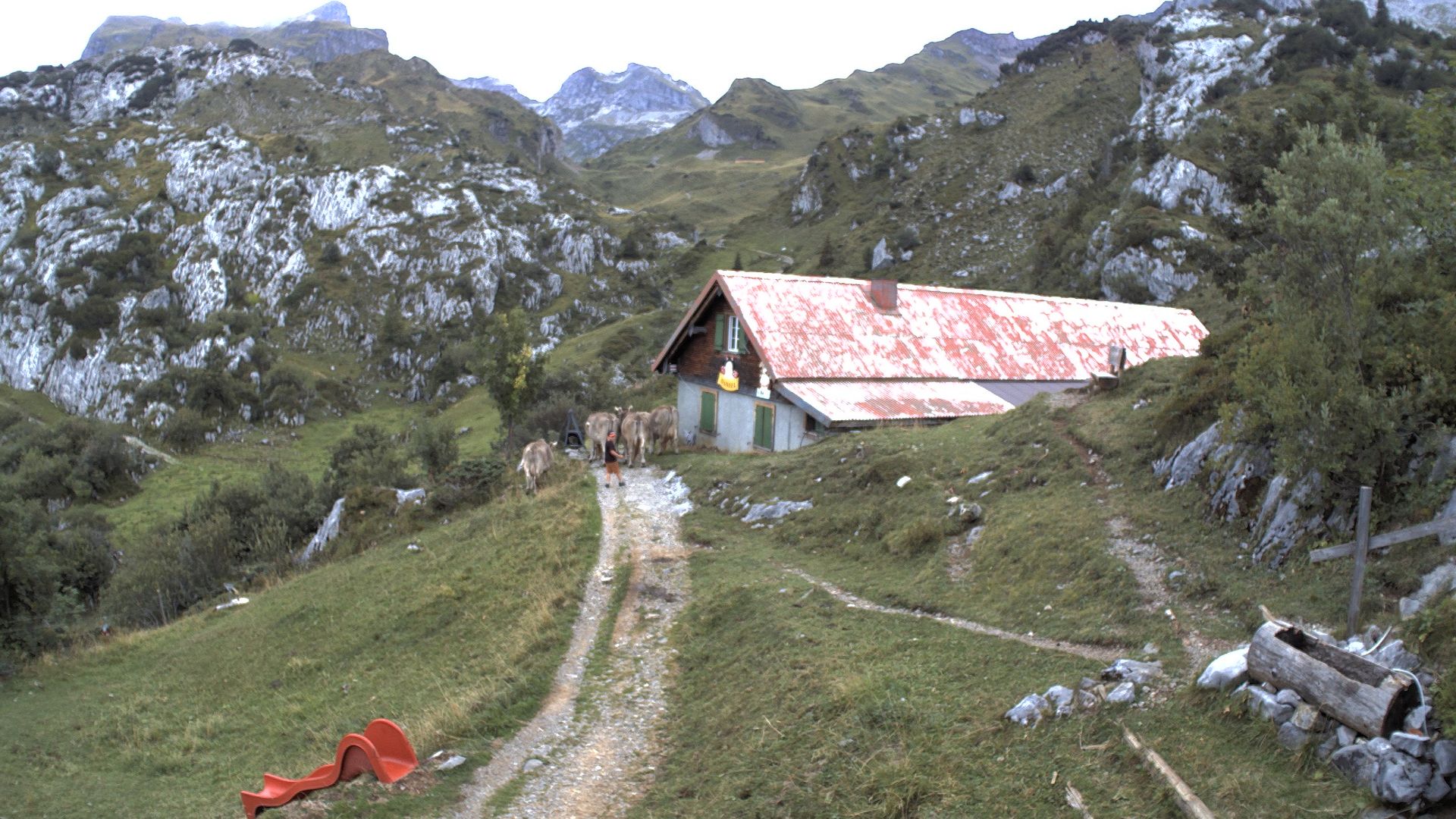 Sisikon