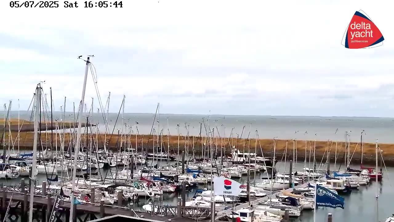 Colijnsplaat: haven