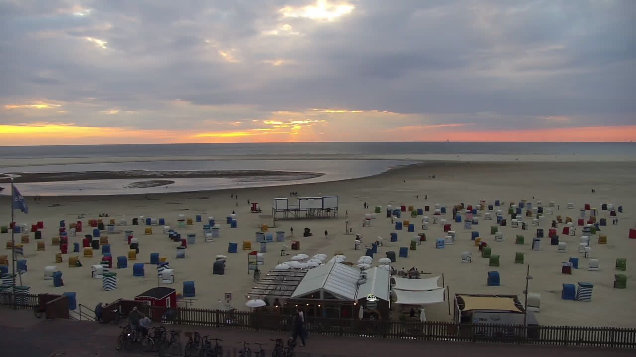 Borkum: Livespotting - Live vom Strand und der Seehundbank von