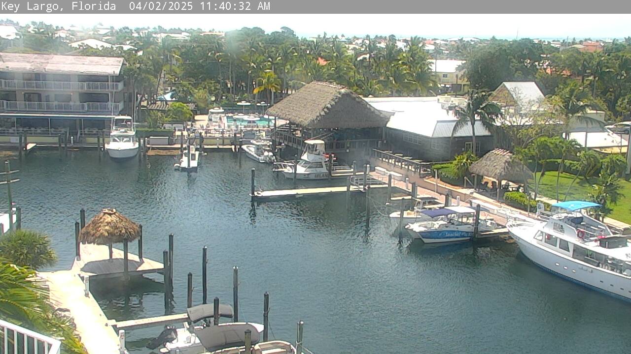 Webcam Key Largo, Florida: Key Largo Cam