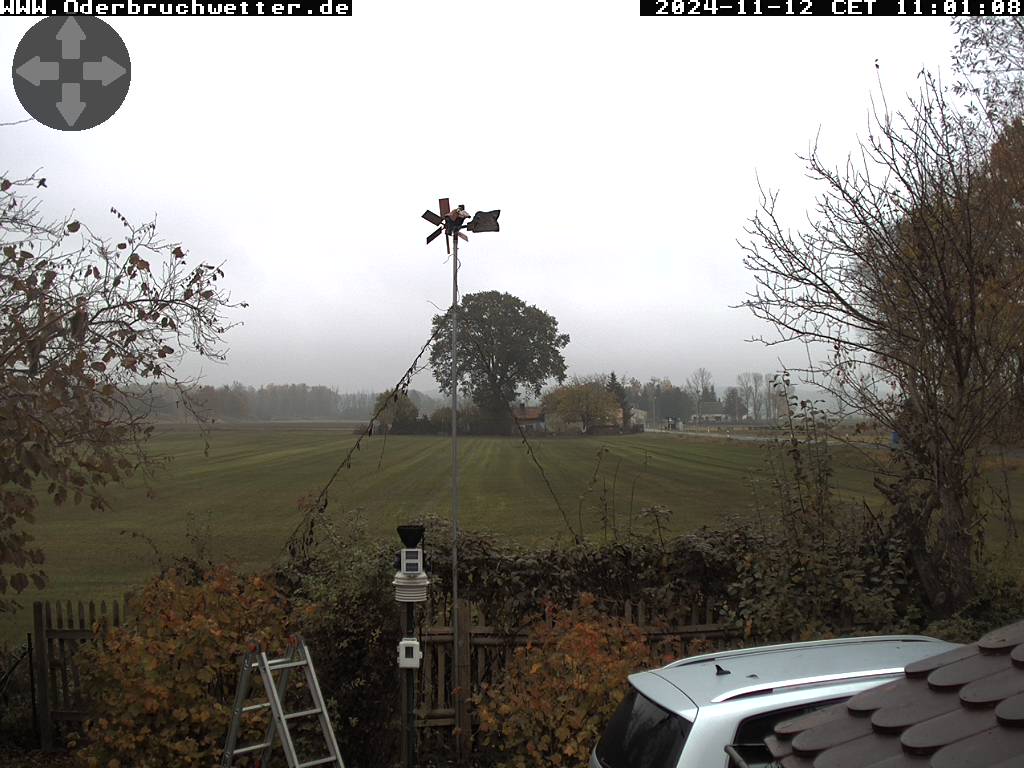 Webcam Neulewin: Oderbruch Weather