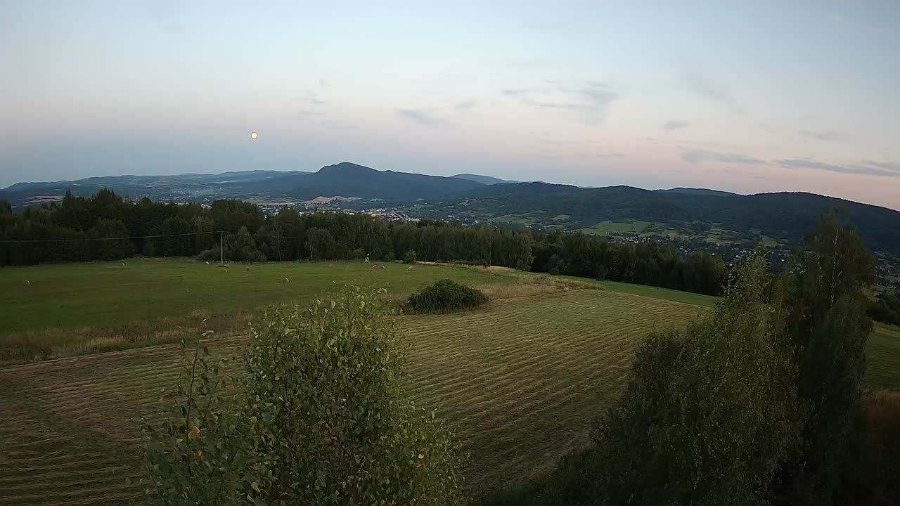 Barwinek