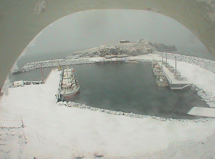 Webcam Borgarfjörður eystri: Hafnarhólmi