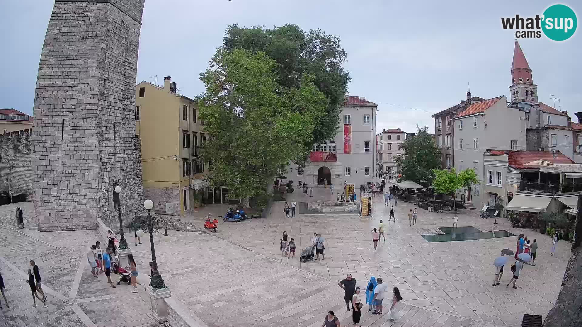 Webcam Zadar: Trg Petra Zoranića