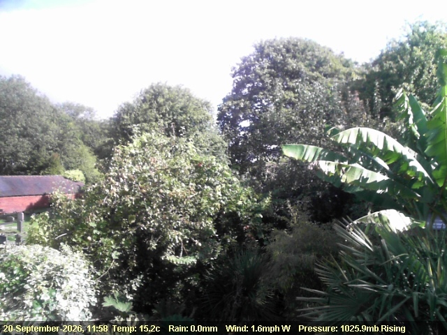 Webcam Audley: St James' Graveyard