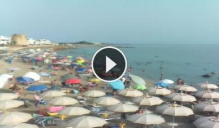 Webcam Torre Mozza: HD Stream Beach
