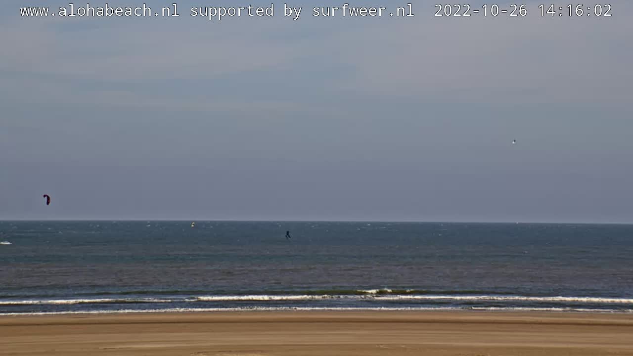 Webcam Wijk aan Zee: Livesteam Aloha Beach