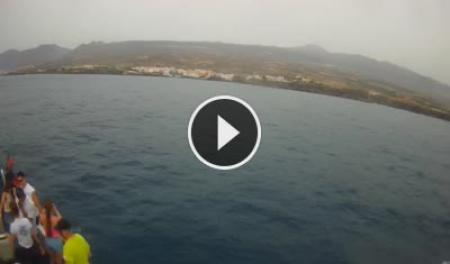 Webcam Playa de las Americas (Tenerife): Catamaran Royal Delfin