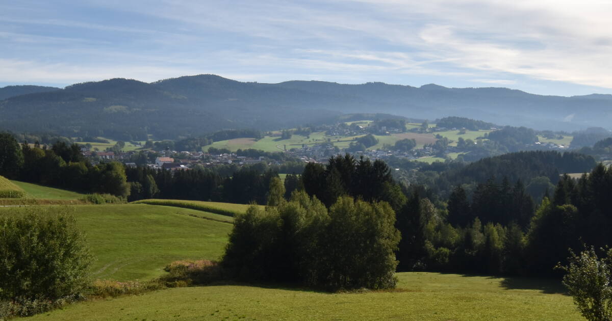 Webcam Drachselsried: PANOMAX Drachselsried im Zellertal