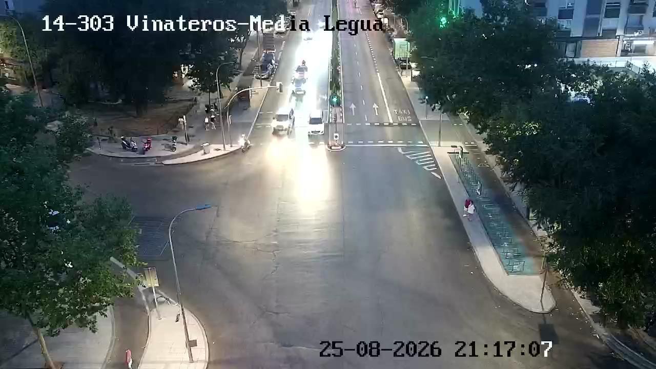 Media Legua: VINATEROS