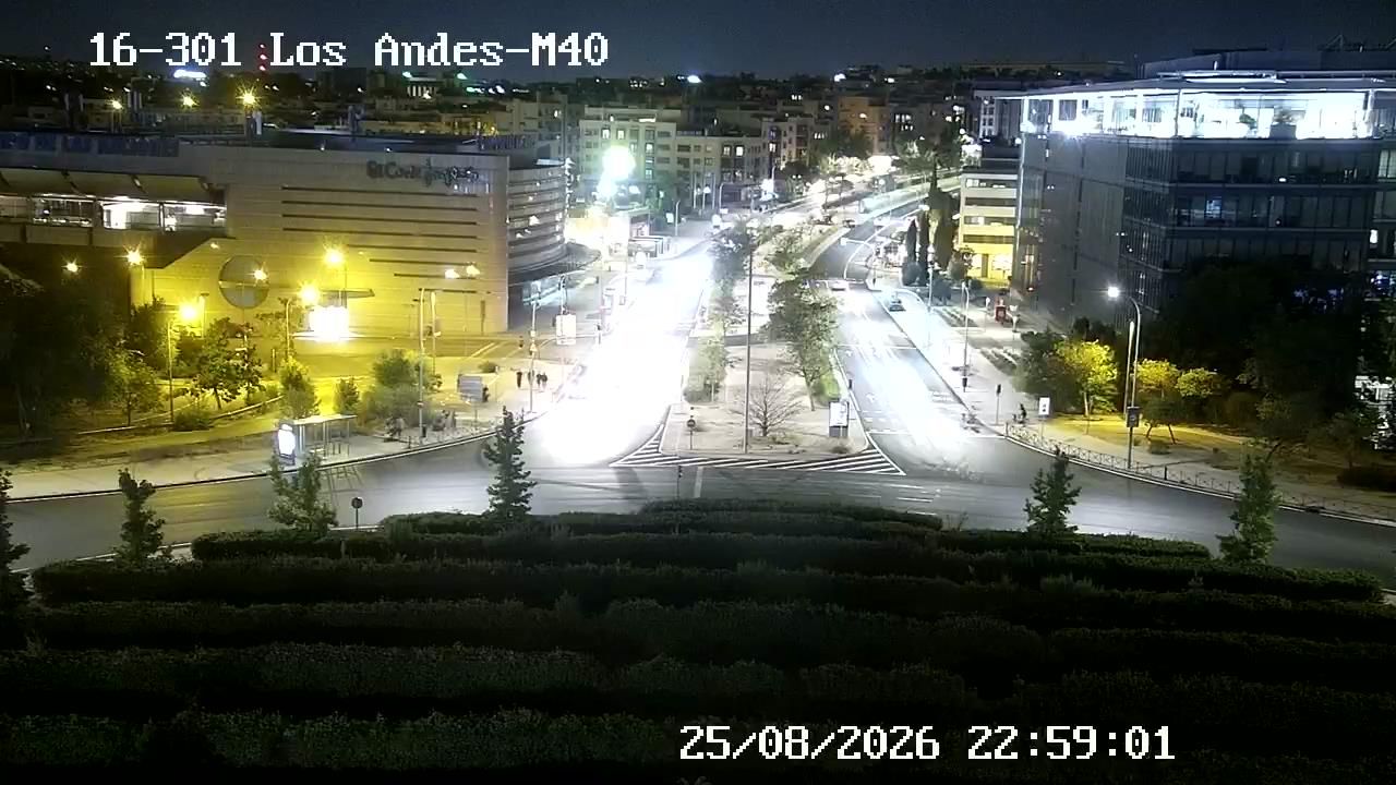 Palomas: LOS ANDES - M40