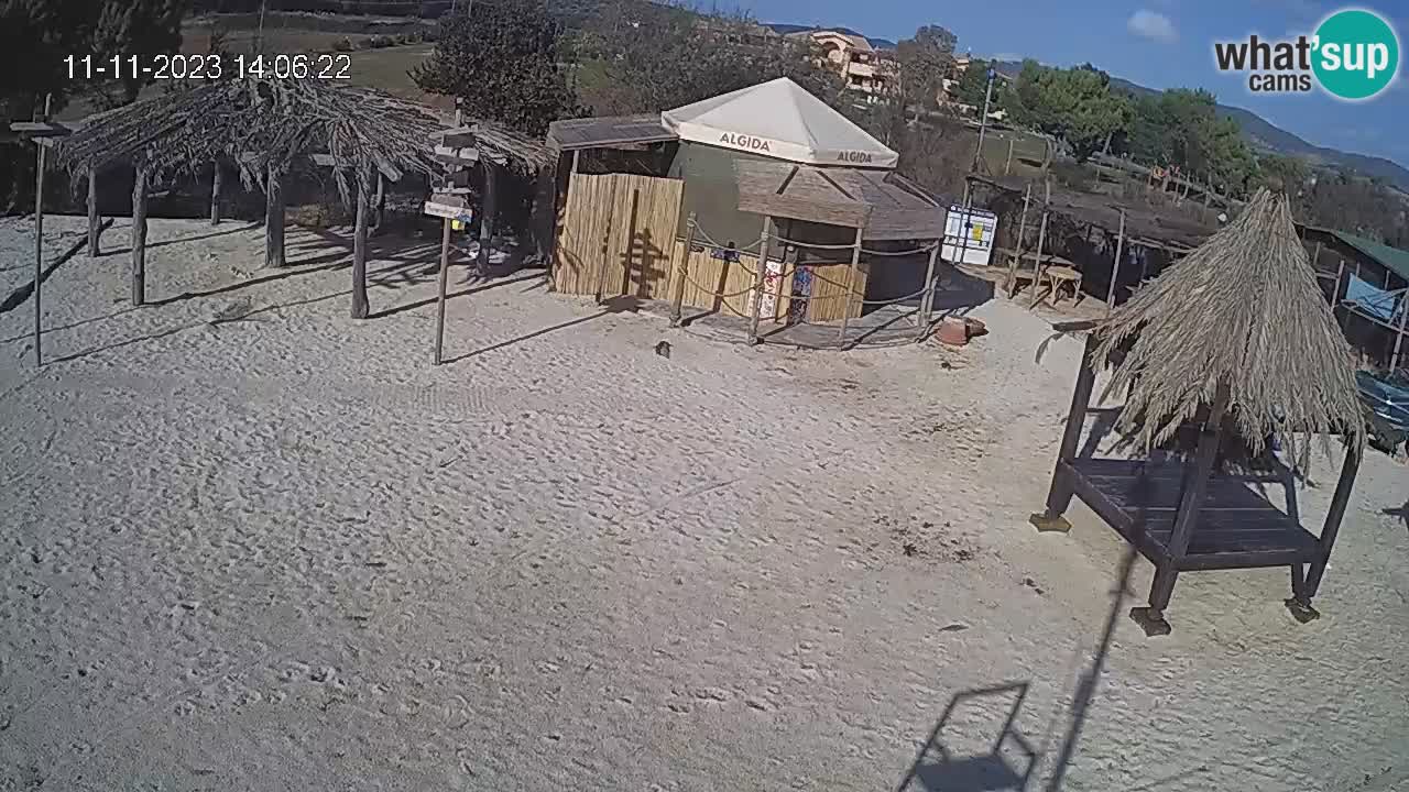 Webcam Talamone: Baia di Talamone - Wind Surf and Kite Surf