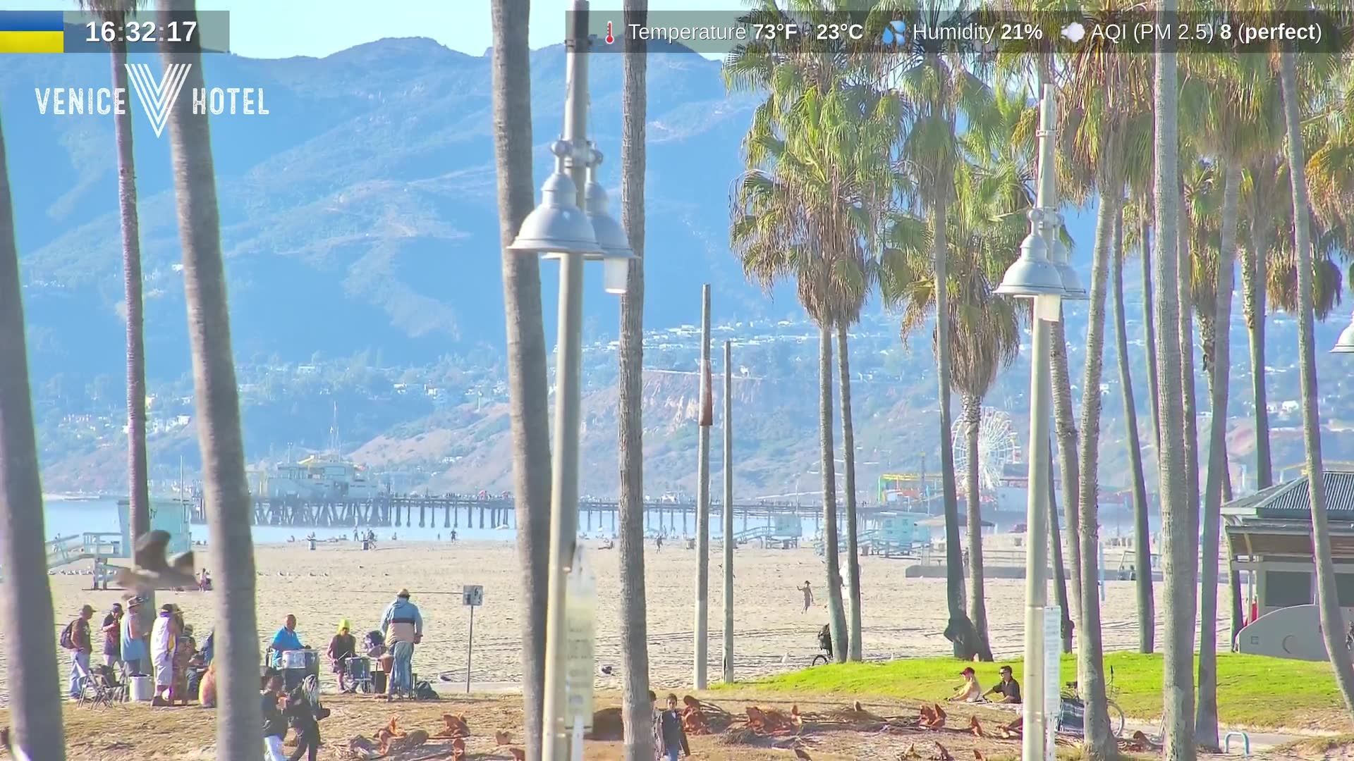 Venice Beach: Thongson Beach