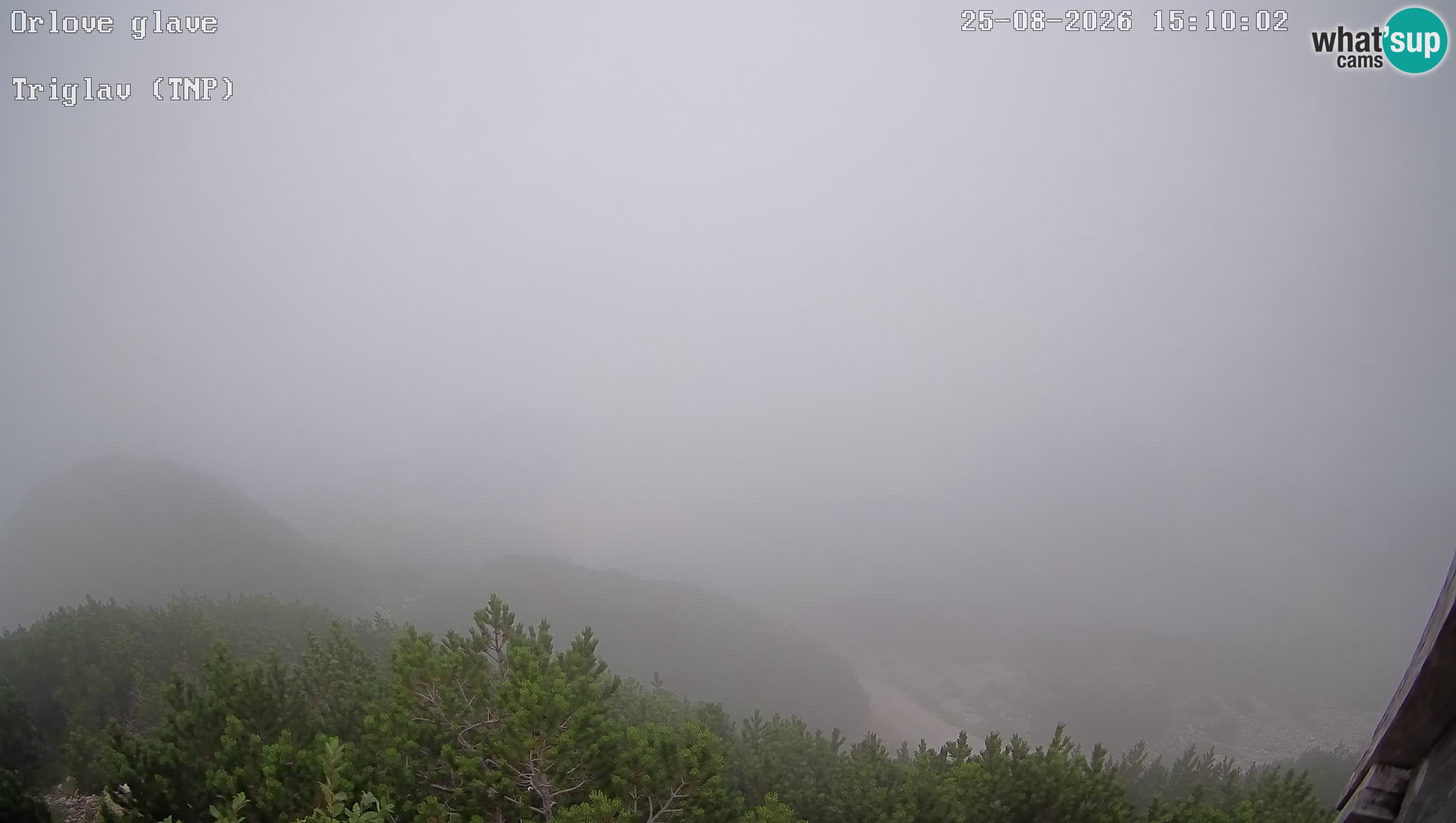 Webcam Bohinj: Vogel Ski Resort