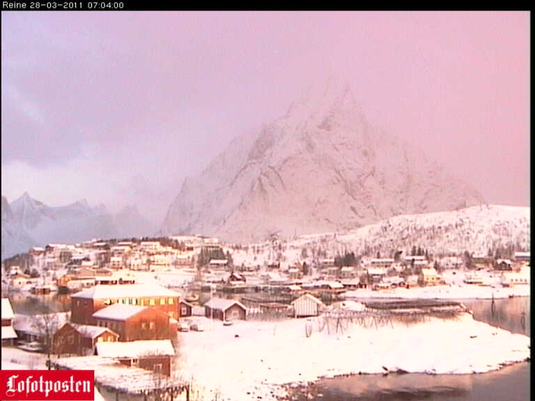 Webcam Reine: View of Reine