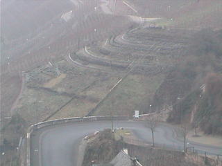 Webcam Ürzig: View onto Ürzig