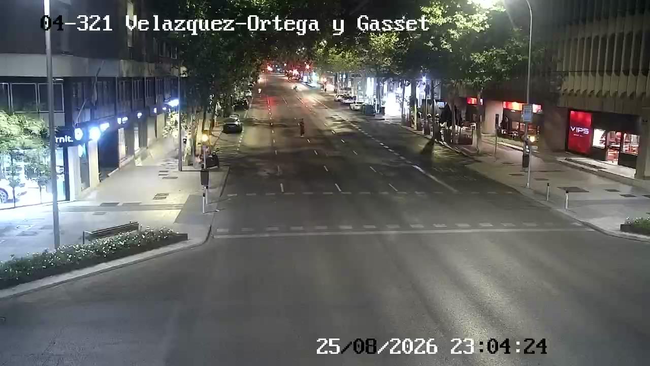 Castellana: VELAZQUEZ - JOSE ORTEGA Y GASET