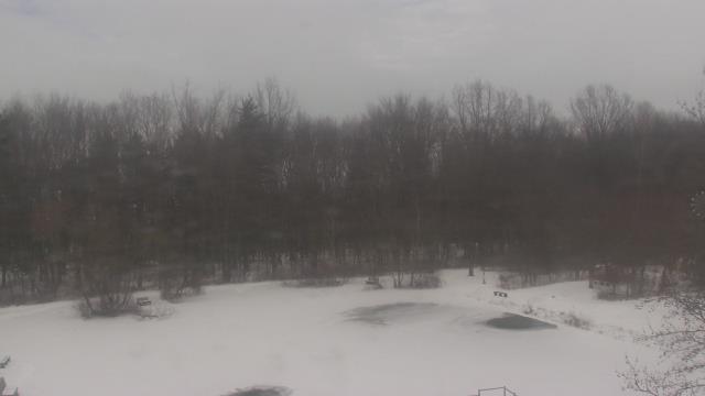 Webcam Crestline, Ohio: Crawford Park District Nature Center