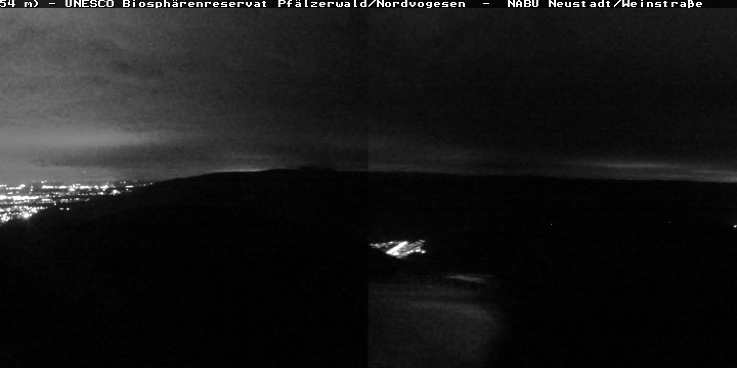 Webcam Weinbiet: View from the Weinbiet