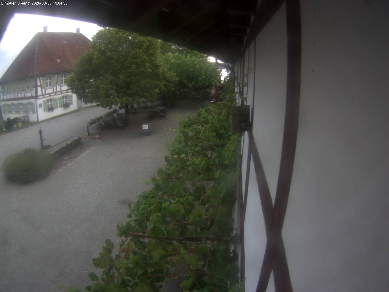 Uhldingen-Muhlhofen: Birnauer Oberhof - Restaurant & Weinstube