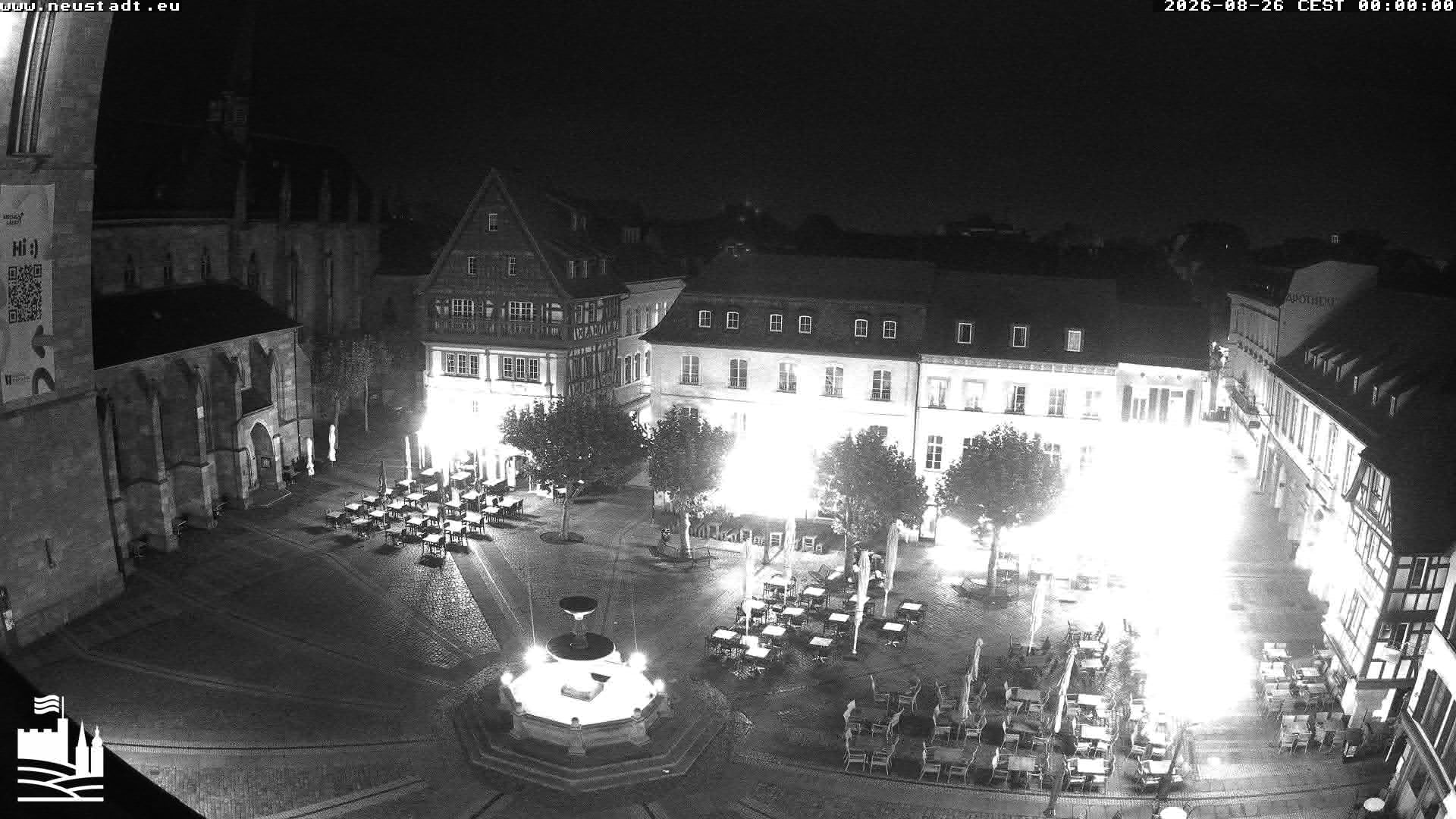 Webcam Neustadt a. d. Weinstraße: Marktplatz with Stiftskirche