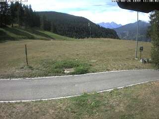 Chamois