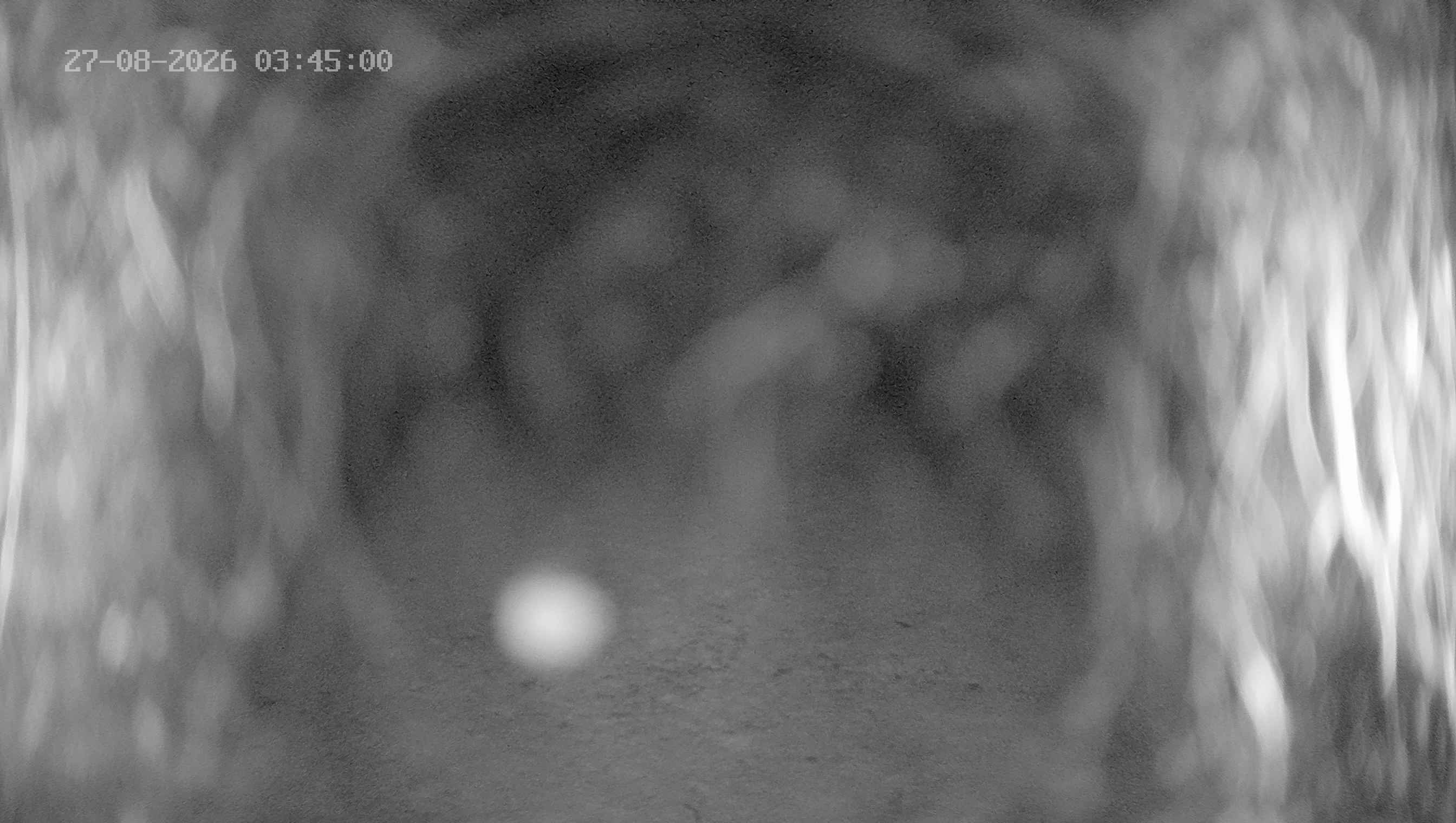 Webcam Gossensaß: Skiing Area Ladurns