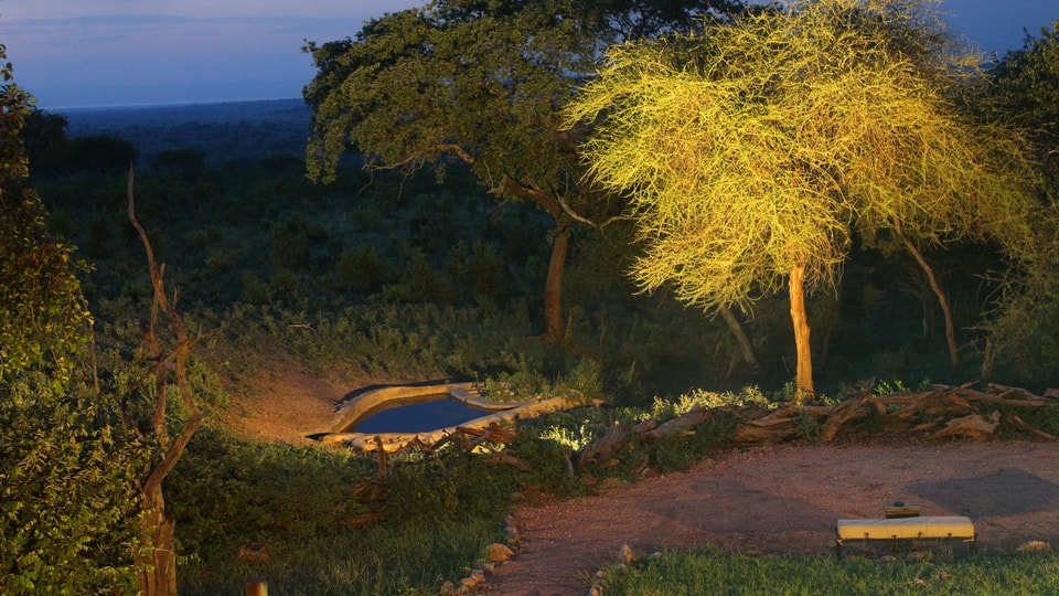 Webcam Tarangire National Park: Tarangire Treetops
