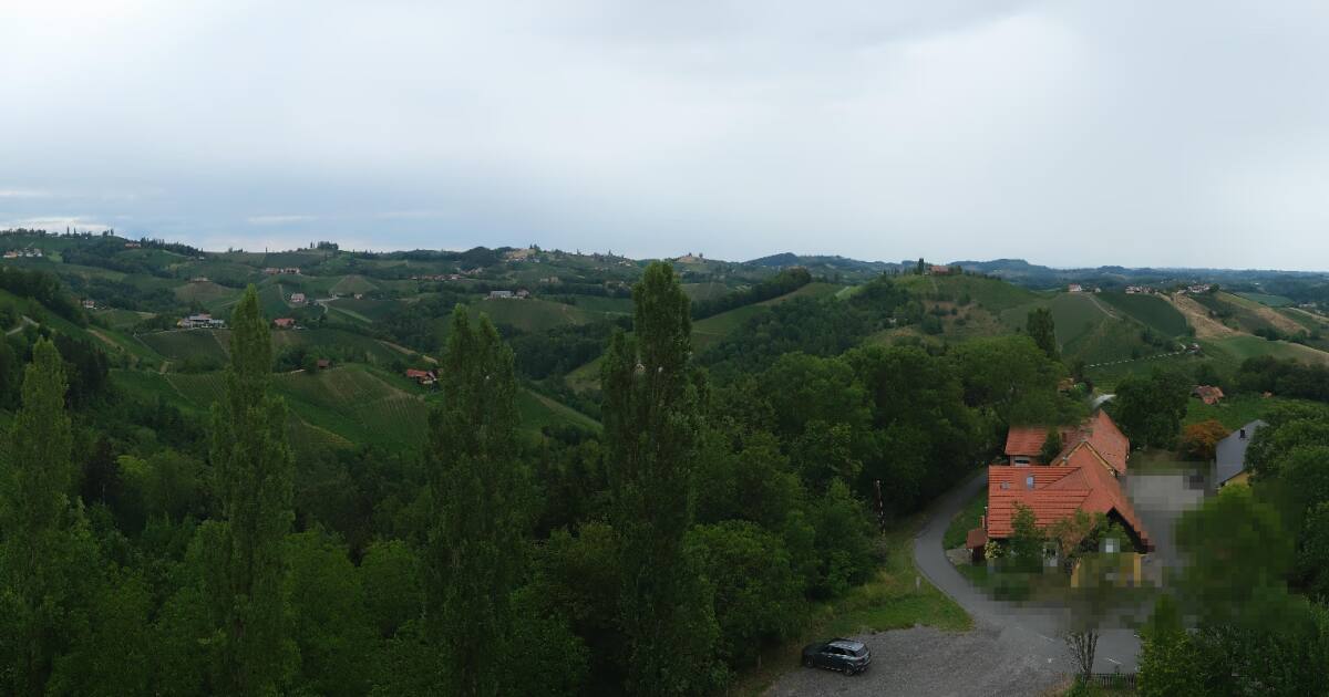 Webcam Glanz an der Weinstraße: PANOMAX Weinstrasse