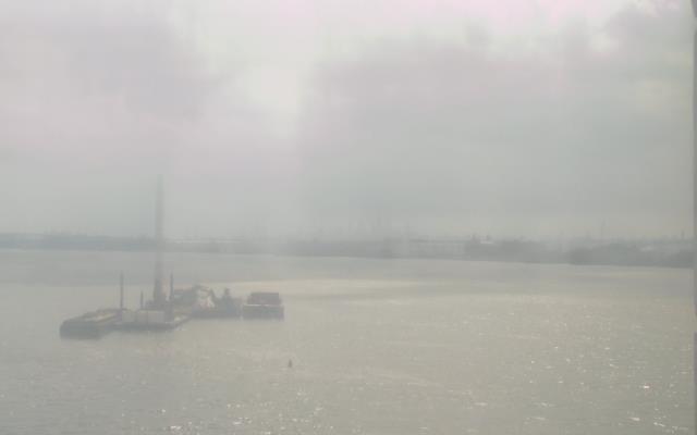 Webcam Palmyra, New Jersey: Palmyra Cove Nature Park